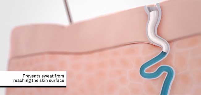 �f�g�����X��